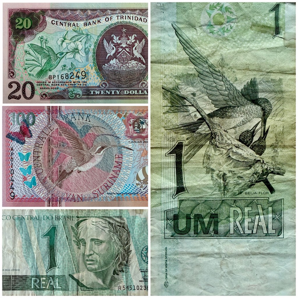 Tiny Wings, Big Bills: Hummingbirds on Paper Money (Part&nbsp;2)